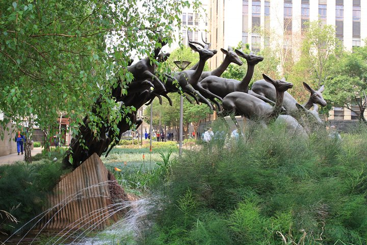 Impala Stampede sculpture in Main Street.
